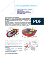 Apuntes Vídeo Introductorio Psicobiología