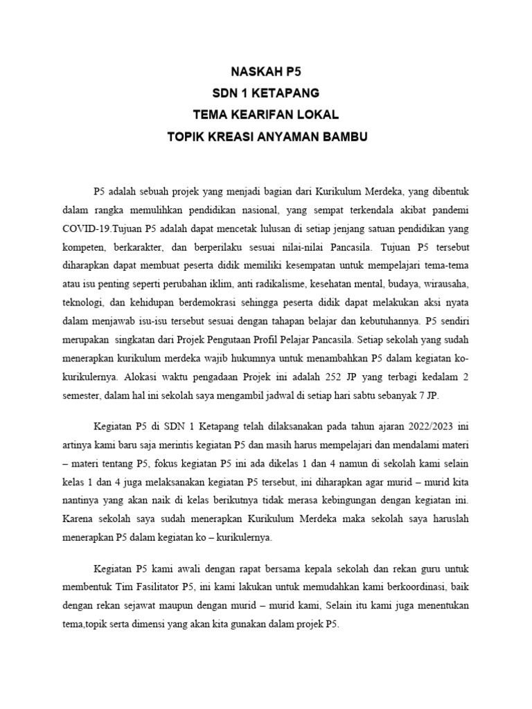 Program P 5 | PDF