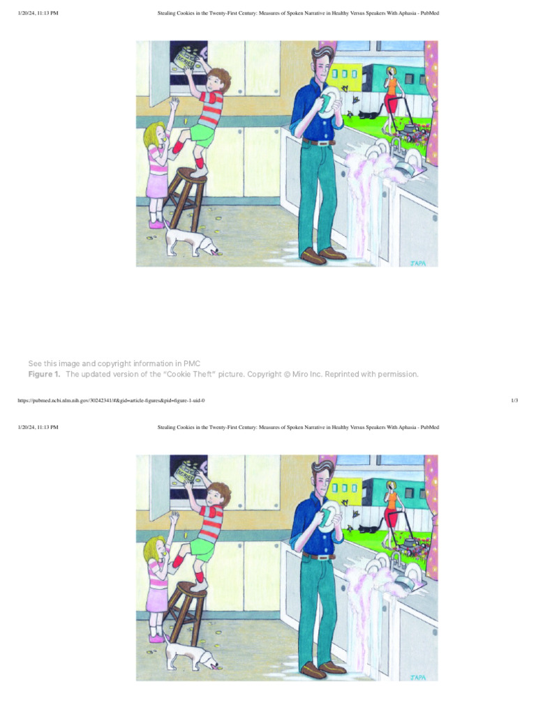 Cookie Theft 2024 PDF Science Mathematics Self Improvement