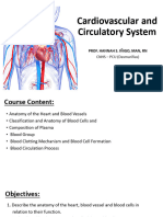 Cardiovascular and Circulatory System