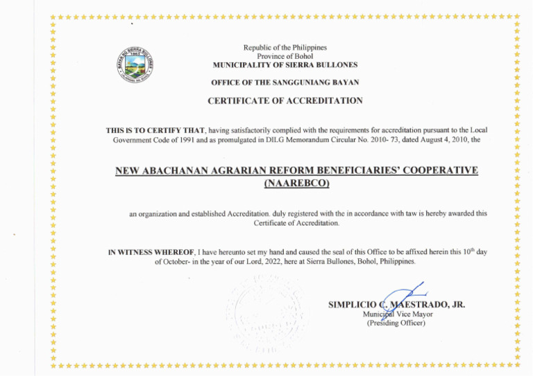 Civil Society Organization - Cso Certification | PDF