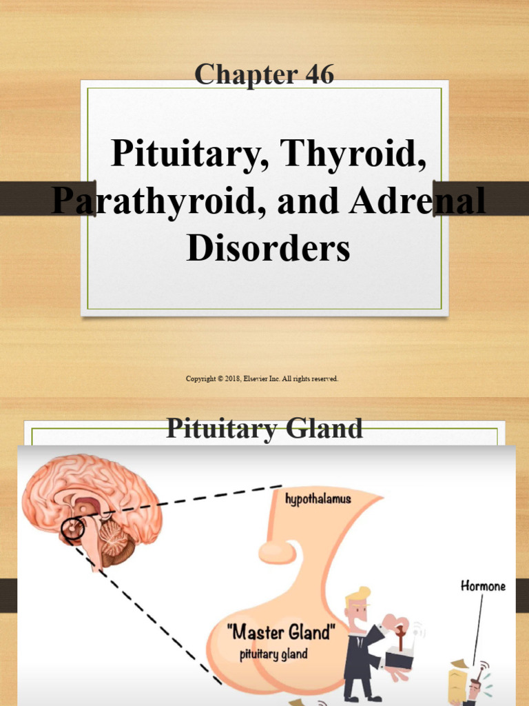 Pituitary Thyroid Parathyroid and Adrenal Disorders | PDF | Growth ...