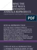 Describing The Different Ways Representative Animals Reproduce