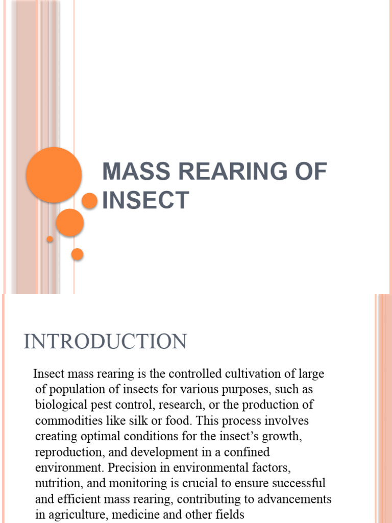 Insect Mass Rearing Techniques Guide | PDF