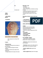 Brain and Meninges