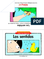 Los Sentidos