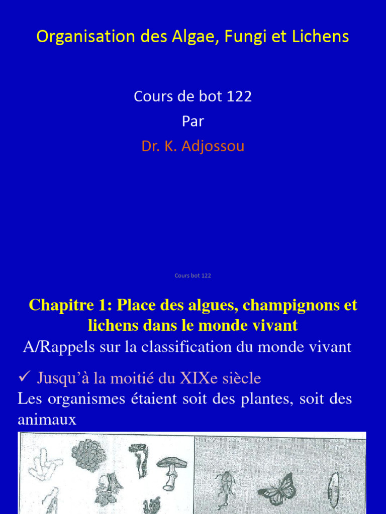 Classification des Algues et Lichens PDF Taxonomie Évolution — free download