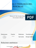 PANCREAS