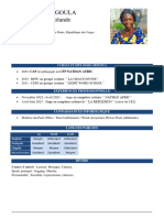 Modèle CV Pridecia - LABA - PDF