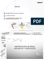 Identificacion Peces PDF