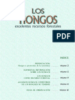 Los Hongos Excelentes Recursos Forestales