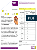 Gestation Periods