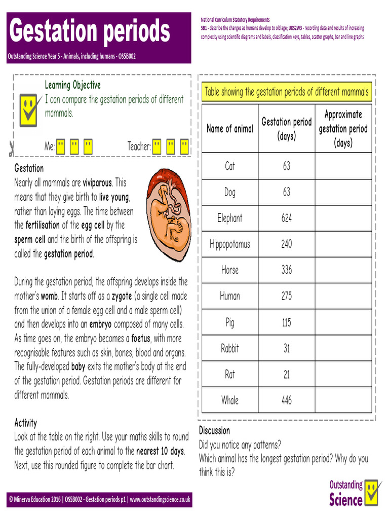 Gestation Periods | PDF | Mammals | Embryo