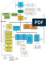 Organigrama MPF