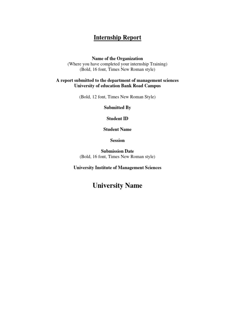 Internship Report Format Pdf
