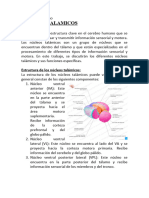 NUCLEOS TALAMICOS Trabajo Uni