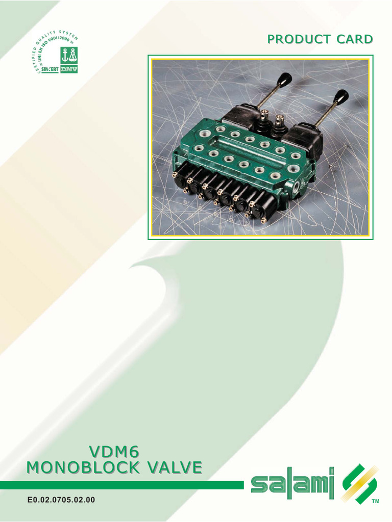 salami-catalog-vdm6-pdf-valve-pipe-fluid-conveyance