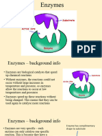 Lesson 1 Enzyme Action Powerpoint