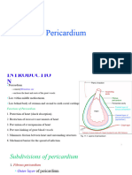 Pericardium