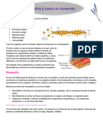 Materia Solemne II Biología Pte 2