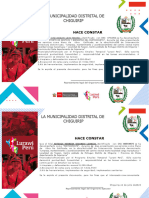 Formato Constancia de Participación - LP 25.10.22