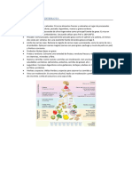 Pautas de La Dieta Mediterranea