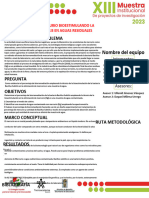 Décimo Formato Póster