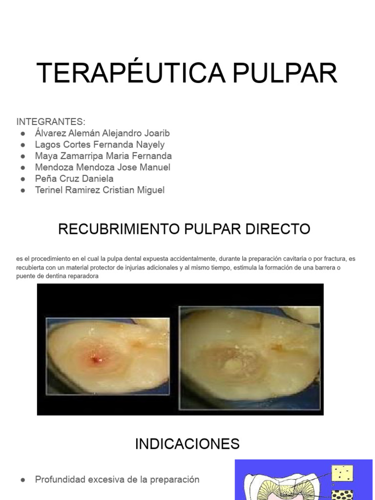 Guía Completa de Terapéutica Pulpar | PDF | Ciencias de la Salud ...