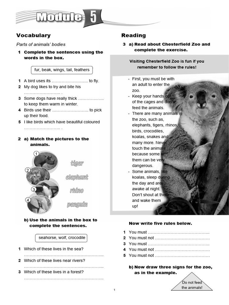 Access 1 int mod 5 pdf zoo