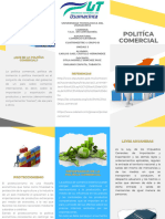 Folleto Brochure de Servicios Empresa Profesional Amarillo (1) - 1