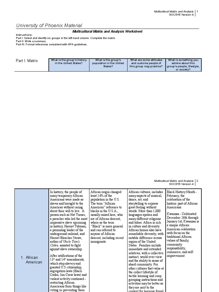 Multicultural Matrix Analysis for SOC 315 | PDF | White Americans ...