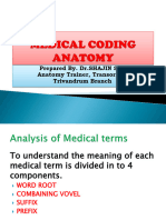 Anatomy Terminology Notes