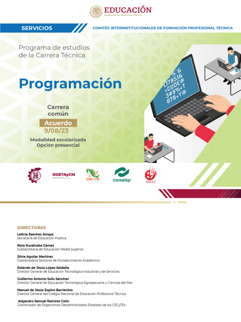 Programa de Estudios en Programación DGETI | PDF | Ingeniería de ...