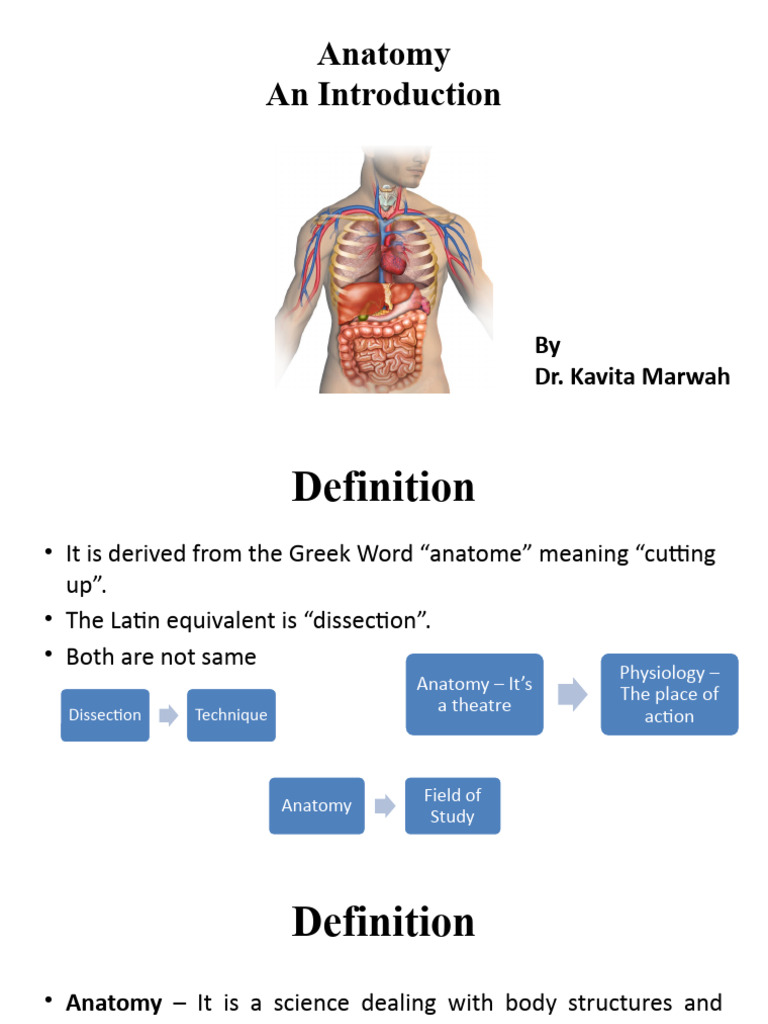 Anatomical Terms Of Location Biology Diagrams