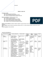 Proiect Didactic - Debitarea