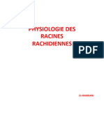 2emephysiologie Des Racines Rachidiennes