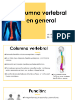 'Columna Vertebral en General 2' Andrea Maldonado