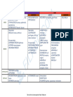 Clasificacion de Bacterias