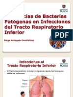 Tendencias en Patógenos Bacterianos en Infecciones Del Tracto Respiratorio Inferior