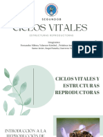 Ciclos Vitales y Estructuras Reproductoras - Grupo 5
