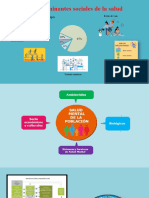 Determinantes de La Salud