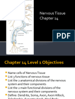 Nervous Tissue