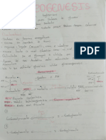 Metabolismo Parte 2