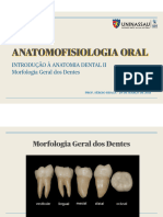 ANATOMOFISIOLOGIA ORAL - Anatomia Dental II