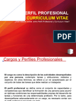 M1CE3-MA Perfil Profesional y Diseño de Currículum Vitae