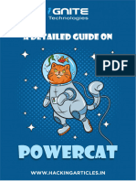 Powercat For Pentester 1706211911