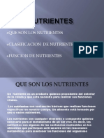 Clasificacion y Funcion de Nutrientes