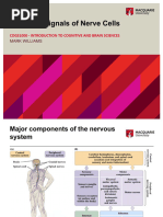 Metaneuron Manual | PDF | Inhibitory Postsynaptic Potential | Membrane ...