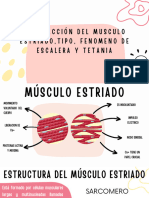 Control Del Tono Muscular