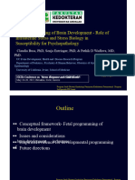 Brain PPT Fetal Programming Aswin